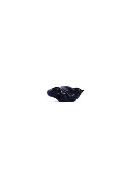Caapi Resin 15:1 Extract - Banisteriopsis Caapi Caapi Resin 15:1 Extract - Banisteriopsis Caapi