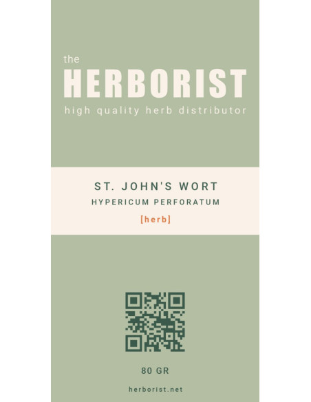 St. John's Wort - Hypericum perforatum 2