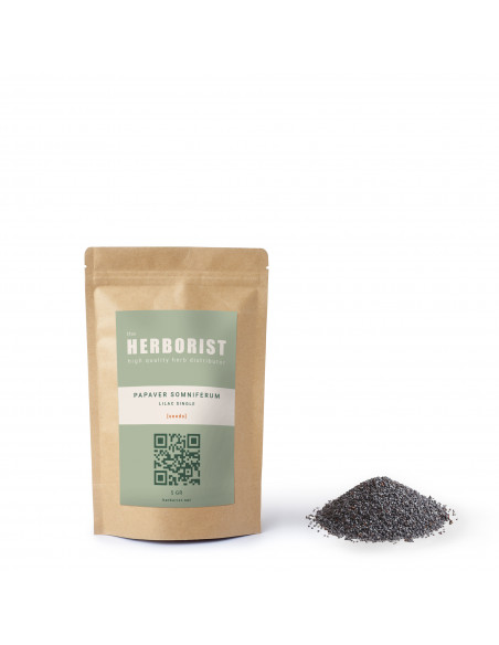 Papaver Somniferum - Lilac Single