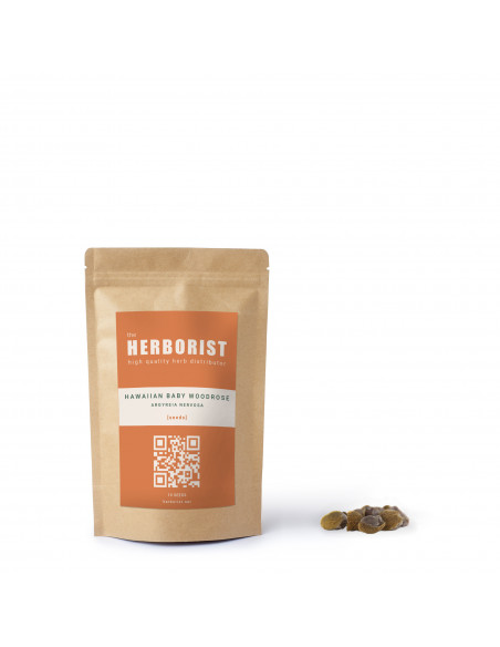 Hawaiian baby woodrose seeds - Argyreia nervosa