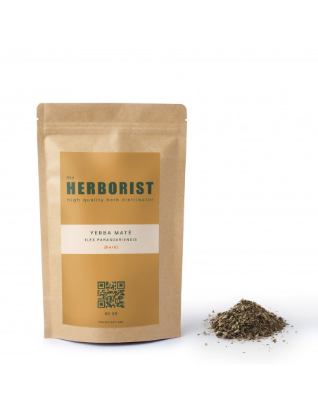 Yerba maté - Ilex paraguariensis