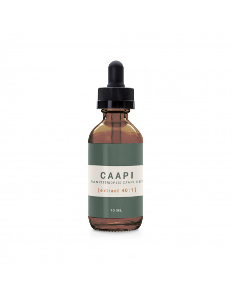 Caapi - Banisteriopsis Caapi Red Tincture