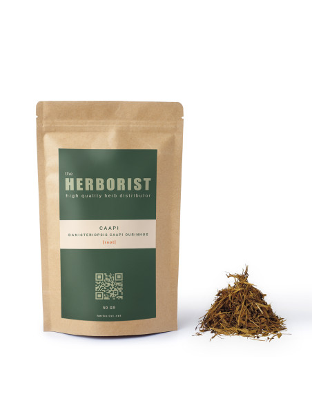 Caapi - Banisteriopsis caapi ourinhos